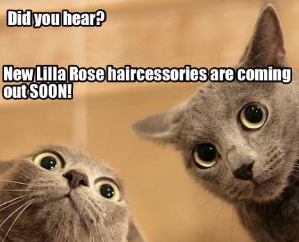did-you-hear-new-lilla-rose-haircessories-are-coming-out-soon