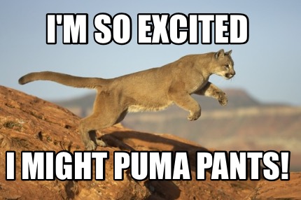 im-so-excited-i-might-puma-pants3