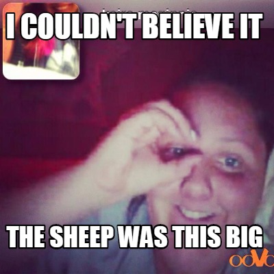 i-couldnt-believe-it-the-sheep-was-this-big
