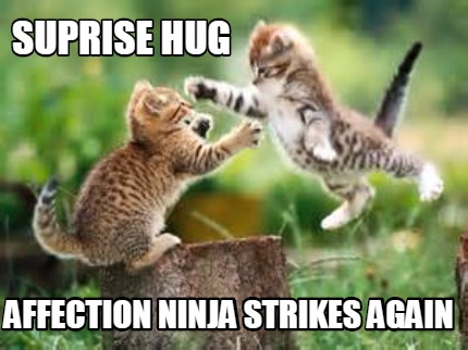 suprise-hug-affection-ninja-strikes-again