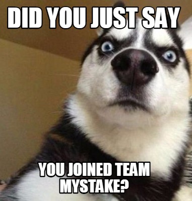 did-you-just-say-you-joined-team-mystake