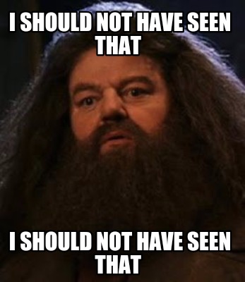 i-should-not-have-seen-that-i-should-not-have-seen-that