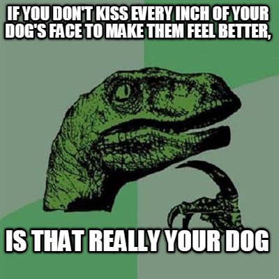 if-you-dont-kiss-every-inch-of-your-dogs-face-to-make-them-feel-better-is-that-r