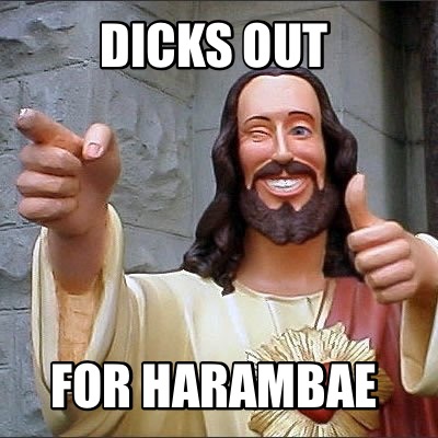 dicks-out-for-harambae