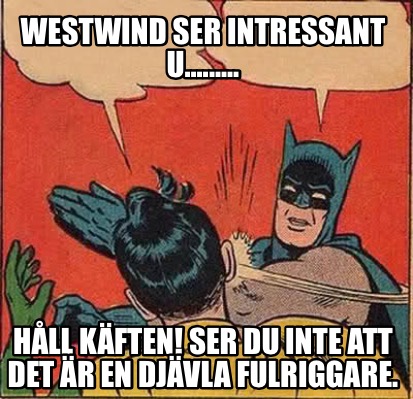 westwind-ser-intressant-u.........-hll-kften-ser-du-inte-att-det-r-en-djvla-fulr