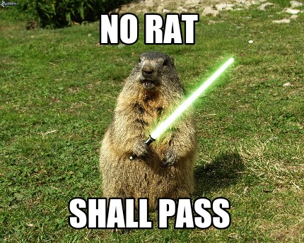no-rat-shall-pass