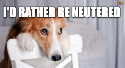 id-rather-be-neutered