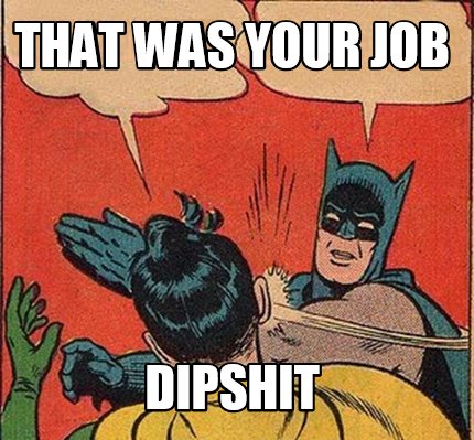 that-was-your-job-dipshit5
