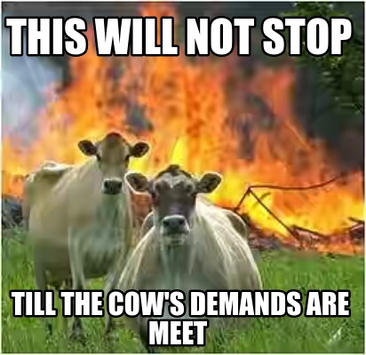 this-will-not-stop-till-the-cows-demands-are-meet