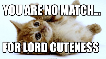 you-are-no-match...-for-lord-cuteness
