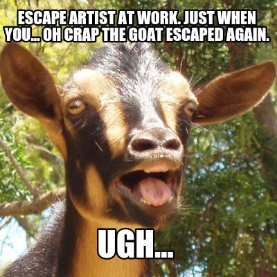 escape-artist-at-work.-just-when-you...-oh-crap-the-goat-escaped-again.-ugh