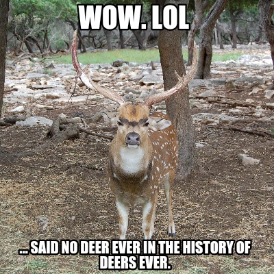 wow.-lol-...-said-no-deer-ever-in-the-history-of-deers-ever