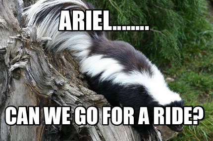 ariel........-can-we-go-for-a-ride