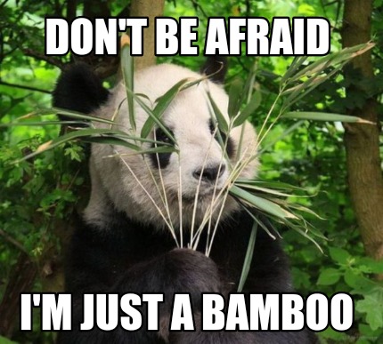 dont-be-afraid-im-just-a-bamboo