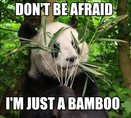 dont-be-afraid-im-just-a-bamboo4