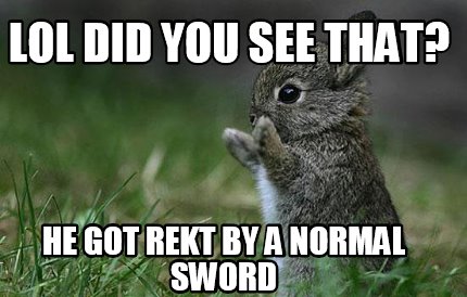 lol-did-you-see-that-he-got-rekt-by-a-normal-sword