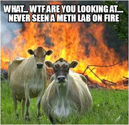 what...-wtf-are-you-looking-at....-never-seen-a-meth-lab-on-fire