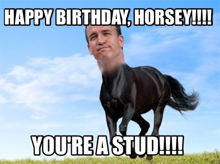happy-birthday-horsey-youre-a-stud