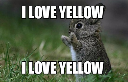i-love-yellow-i-love-yellow