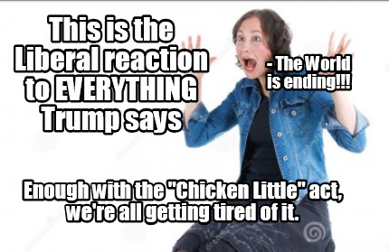 this-is-the-liberal-reaction-to-everything-trump-says-enough-with-the-chicken-li