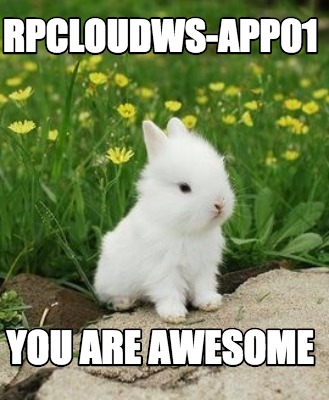 rpcloudws-app01-you-are-awesome