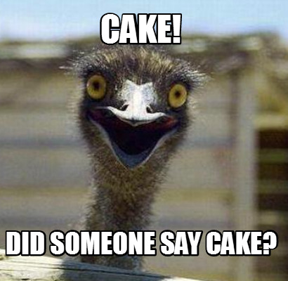 cake-did-someone-say-cake9