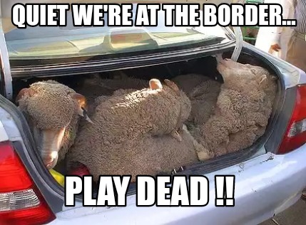quiet-were-at-the-border...-play-dead-