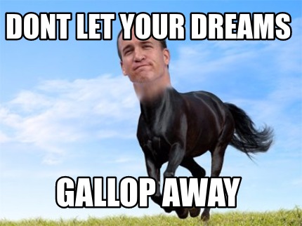 dont-let-your-dreams-gallop-away