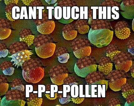 cant-touch-this-p-p-p-pollen