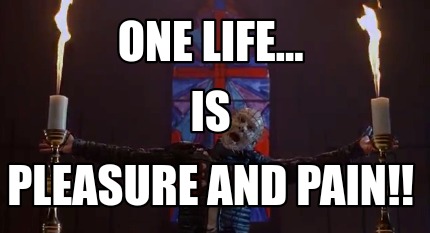 one-life...-pleasure-and-pain-is