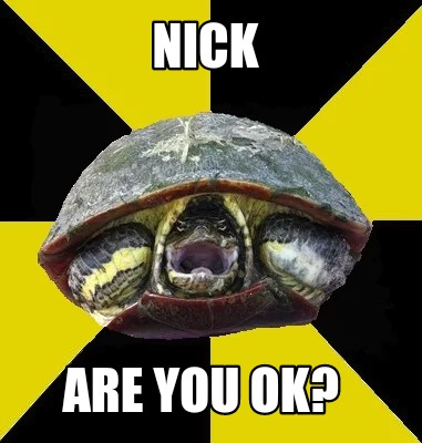 nick-are-you-ok