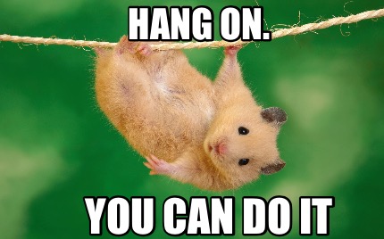 hang-on.-you-can-do-it5