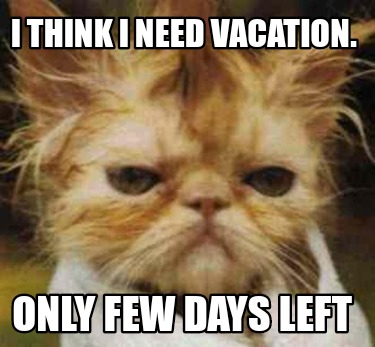 i-think-i-need-vacation.-only-few-days-left