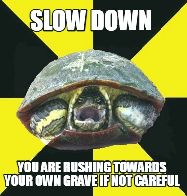 slow-down-you-are-rushing-towards-your-own-grave-if-not-careful