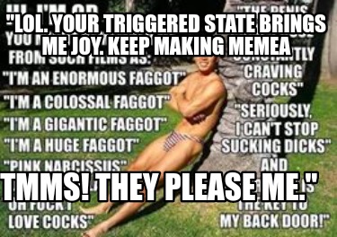 lol.-your-triggered-state-brings-me-joy.-keep-making-memea-tmms-they-please-me