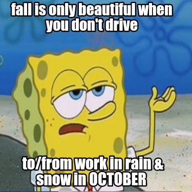 fall-is-only-beautiful-when-you-dont-drive-tofrom-work-in-rain-snow-in-october
