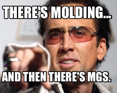 theres-molding...-and-then-theres-mgs