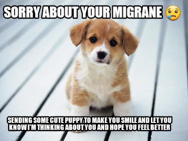 sorry-about-your-migrane-sending-some-cute-puppy-to-make-you-smile-and-let-you-k