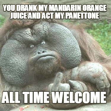 you-drank-my-mandarin-orange-juice-and-act-my-panettone-all-time-welcome