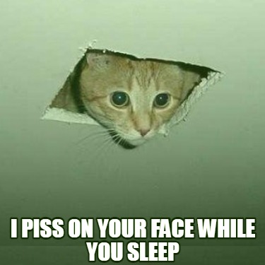 i-piss-on-your-face-while-you-sleep