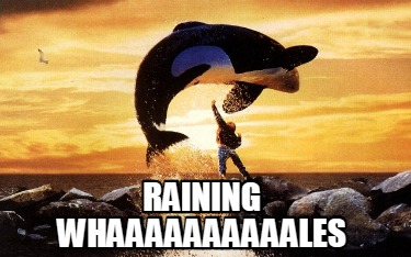 raining-whaaaaaaaaaales
