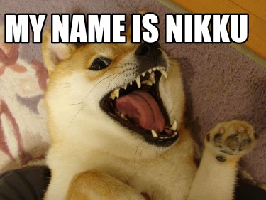 my-name-is-nikku6
