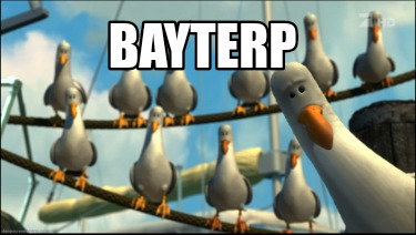 bayterp
