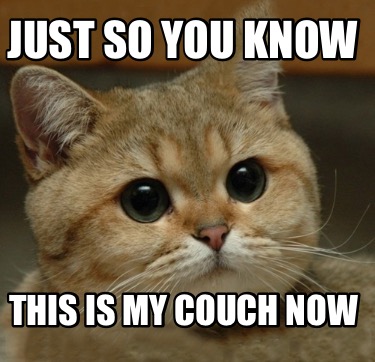 just-so-you-know-this-is-my-couch-now