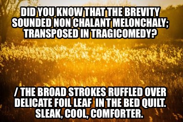 did-you-know-that-the-brevity-sounded-non-chalant-melonchaly-transposed-in-tragi