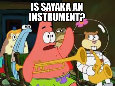 is-sayaka-an-instrument
