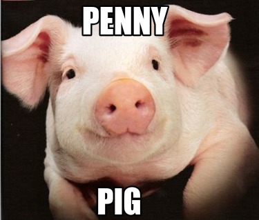 penny-pig