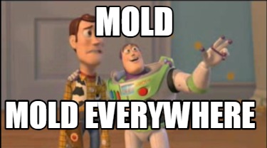 mold-mold-everywhere7
