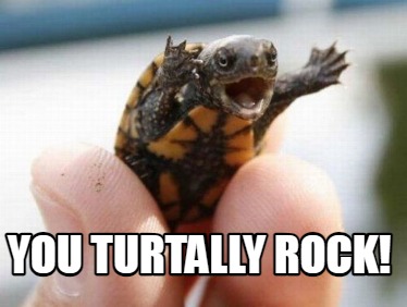 you-turtally-rock