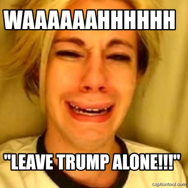 waaaaaahhhhhh-leave-trump-alone